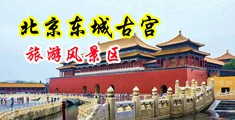 黑丝女神在线呻吟中国北京-东城古宫旅游风景区
